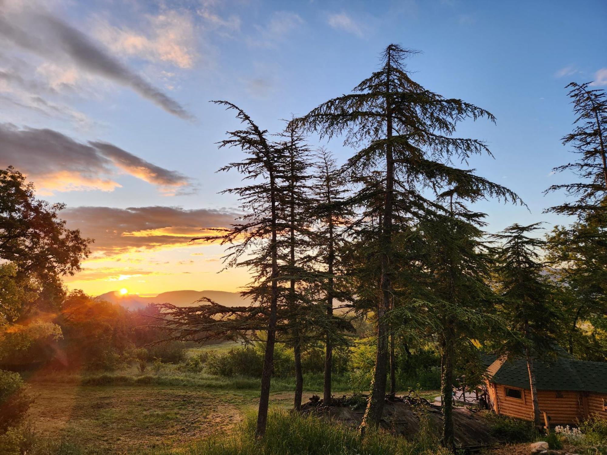 La Chaumiere Magique Des Elfes Et Ses Enigmes Bed & Breakfast Servas  Exterior photo
